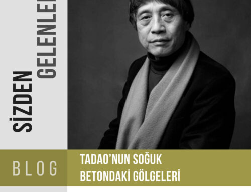 TADAO’NUN SOĞUK BETONDAKİ GÖLGELERİ